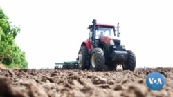 Ethiopia Wheat Production to Jump 70% as Ukraine Crisis Hinders Imports 