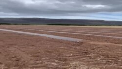 ການກຽມດິນ ເພື່ອການປູກຝັງໃນລະດູໃໝ່ ຢູ່ໃນອາລຸນຟາມ, ໂຮໂນລູລູ, ຮາວາຍ.