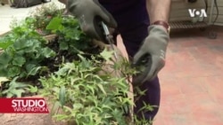 Digitalni dodaci u službi ljudskog zdravlja