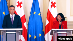 ევროპარლამენტის საგარეო ურთიერთობათა კომიტეტის თავმჯდომარე დევიდ მაკალისტერი და საქართველოს პრეზიდენტი სალომე ზურაბიშვილი