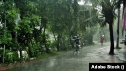 বৃষ্টি পড়ছে অঝোর ধারায়। 