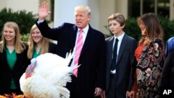 President Donald Trump with first lady Melania Trump, right, and their son Barron Trump, waves after pardoning the National Thanksgiving Turkey Drumstick during a ceremony in the Rose Garden of the White House in Washington, Tuesday, Nov. 21, 2017.
