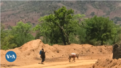 Hidhattoonni Ajajoota Mana Hidhaa Wallagga Lixaa Keessatti Qabatan Jedhu Matii fi Angawoonni Benishangul Gumuz