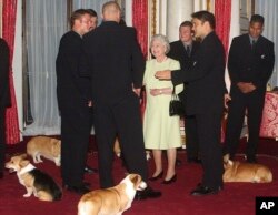 ព្រះមហាក្សត្រិយានី Elizabeth ទី ២ យាងស្វាគមន៍សមាជិកនៃក្រុមកីឡា rugby មកពីប្រទេសនូវែលសេឡង់ ដោយមានសត្វសុនខពូជ Corgis របស់ទ្រង់អមជាមួយ នៅព្រះបរមរាជវាំង Buckingham ក្នុងទីក្រុងឡុងដ៍ កាលពីថ្ងៃទី ៥ ខែវិច្ឆិកា ឆ្នាំ ២០០២។