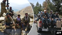 د طالبانو او مقاومت جبهې جنګیالي