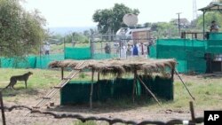 This handout photograph provided by the Press Information Bureau shows Indian Prime Minister Narendra Modi watching a cheetah after it was released in an enclosure at Kuno National Park, in the central Indian state of Madhya Pradesh, Sept. 17, 2022.