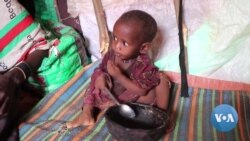 Biden to Focus on Food Security, Global Health at UN General Assembly