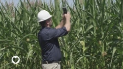 የዘረመል ቅይር ምግቦች እና የጤና ስጋት 