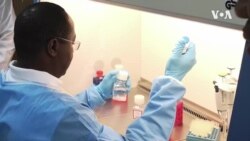 Un nouveau vaccin contre le paludisme efficace à 80%