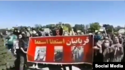 تصویری از تجمه روز گذشته در مخالفت با سگ کشی در تبریز