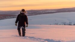 In this Wednesday, Nov. 27, 2019 photo, reindeer herder Niila Inga from the Laevas Sami community walks across the snow as the sun sets on Longastunturi mountain near Kiruna, Sweden. (AP Photo/Malin Moberg)