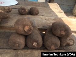 L'igname, une denrée prisée des ivoiriens sur le marché d'Abidjan, en Côte d'Ivoire, le 19 juillet 2017. (VOA/Ibrahim Tounkara)