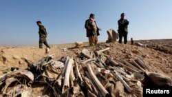 លោក Bones ដែល​គេ​សង្ស័យ​ថា​ជា​សមាជិក​នៃ​សហគមន៍Yazidi របស់​អ៊ីរ៉ាក់ ត្រូវ​បាន​គេ​មើល​ឃើញ​នៅ​ផ្នូរ​មួយ​នៅ​ជាយ​ក្រុង Sinjar កាលពី​ថ្ងៃទី៣០ ខែវិច្ឆិកា ឆ្នាំ២០១៥។