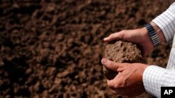 FILE - Farmer Larry Cox looks at soil on a field at his farm Aug. 15, 2022, near Brawley, Calif. The Cox family has been farming in California's Imperial Valley for generations.