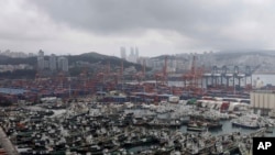 Fishing boats are anchored ahead of the arrival of Typhoon Hinnamnor at a port in Busan, South Korea, Sept. 4, 2022. 