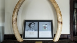 Héritage de la reine Elizabeth: au Kenya, du bon et du moins bon