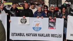 Ankarada heyvansevərlər etiraz aksiyası keçiriblər