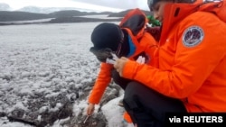 Argentine doctor Mariela Torres and intern doctor Nathalie Bernard take samples of the Antarctica soil for their project to use native microorganisms to clean up pollution from fuels and potentially plastics. Florencia Brunetti/Handout via REUTERS
