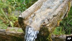 UN Says 'Save The Environment, Save Money'