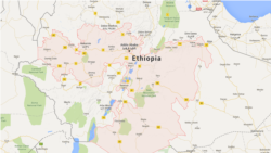 አቶ ሆራ ፈጂሳ መገደላቸውን ባለቤታቸውም ከአራስ ልጇ ጋር በእስር እንደምትገኝ ነዋሪዎች ገለጹ