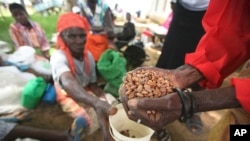 Zimbabwe Hunger Crisis