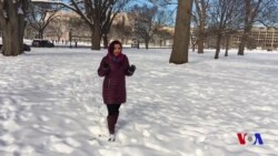 Qor ostidagi Vashingtonda hukumat hamon qulflangan