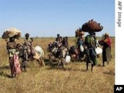 Des réfugiés dans l'Est du Tchad