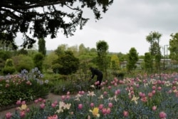 Virus Outbreak France Monet's House