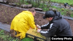 Inmate Adrianne Crabtree and Captain Chad Naugle plant violets in a meadow of the Siuslaw National Forest to support recovery of the threatened Oregon Silverspot butterfly. (Larkin Guenther, IAE, Dec. 2014)