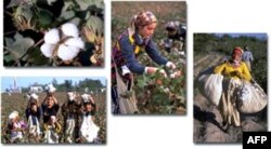 2011-yil xulosalari: O’zbekistonda gaz, korrupsiya, huquq va jahon bilan aloqalar