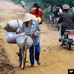 A 2000 file photo shows a Vietnamese woman using a bicycle to transport goods to market as she walks along the Ho Chi Minh Trail near the town of Trung Hoa in Quang Binh Province northwest of Ho Chi Minh City.