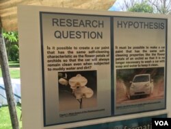 The cleanliness of the orchid flower inspired Jan-Williem Verhoef, 13, of the Hoerskool Garsfontein School in South Africa to investigate a self-cleaning car at the inaugural Africa Science Buskers Festival in Harare, Zimbabwe, March 2017. (S. Mhofu/VOA)