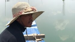 លោក​ ហ៊ន​ ចាន់ កំពុង​បញ្ជាទូកនេសាទ​ក្នុង​បឹង​តាមោក ថ្ងៃទី​១២ ខែ​ឧសភា​ ឆ្នាំ​២០២០​។ (ហ៊ុល រស្មី/VOA)