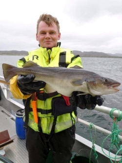 A Norcod employee displays a farmed cod in this undated handout picture, Norway. (Norcod/Handout via REUTERS)