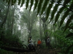 Sekelompok pengendara sepeda beristirahat di hutan hujan Gunung Burangrang di pinggiran Bandung, Jawa Barat. (Foto: REUTERS/Beawiharta)