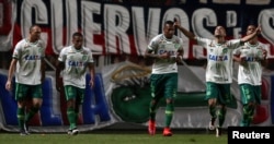 Players of Brazil's Chapecoense celebrate a goal against San Lorenzo in Buenos Aires, Argentina, Nov. 2, 2016.
