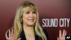 Singer Stevie Nicks waves to photographers at the premiere of the documentary film "Sound City", Jan. 31, 2013 in Los Angeles.