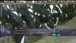 VOA Dunia Kita: Hari Sejuta Pohon (3)