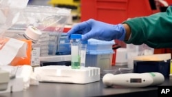 2020年3月12日研究员在康涅狄格州梅里登的实验室研究COVID-19疫苗