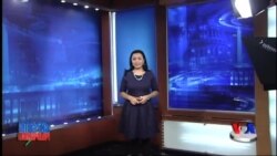 AQSh kurd jangchilariga yordamni oshiradi