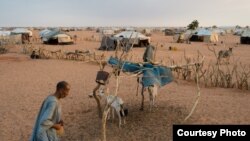 The Mbera refugee camp for Malian refugees, March 2, 2013. (Nyani Quarmyne/MSF) 