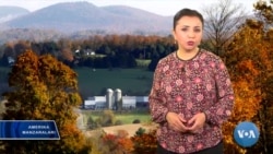 Suvi zaharlangan shahar