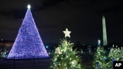 지난 20일 미국 워싱턴 백악관에 세워진 대형 크리스마스트리와 멀리 보이는 워싱턴 모뉴먼트.