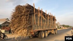 រថយន្តដឹកអំពៅតាមបណ្តោយផ្លូវក្នុងស្រុកឱរ៉ាល់ ខេត្តកំពង់ស្ពឺ។ (ស៊ុន ណារិន/VOA Khmer)