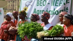Des femmes participent à une marche anti-OGM, le 2 juin 2018 à Ouagadougou, au Burkina Faso. 