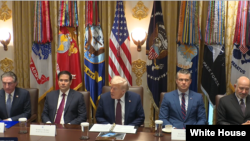 دونالد ترامپ،‌ رئیس جمهوری ایالات متحده، در جلسه هیأت دولت 