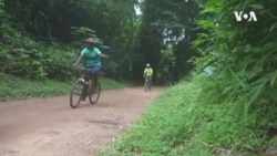 La forêt du Banco, un vaste parc forestier en plein cœur d'Abidjan