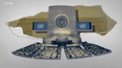 Yaa'iin Waliigalaa Dhaabbata Mootummoota Gamtoomanii (UNGA) Maali? 