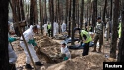 Sejumlah ahli menggali kuburan di dalam hutan di Izium, kota yang berhasil direbut kembali oleh Ukraina dari Rusia, di wilayah Kharkiv, pada 18 September 2022. Para ahli mencari bukti penyiksaan yang dilakukan pasukan Rusia terhadap warga Ukraina. (Foto: Reuters/Umit Bektas)