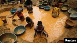 Des chercheurs de l'or tamisent la boue dans une nouvelle mine découverte dans une ferme de cacao près de la ville de Bouafle dans l'ouest de Côte-d'Ivoire, 18 mars 2014. 